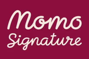 Momo Signature Handwritten Signature Font
